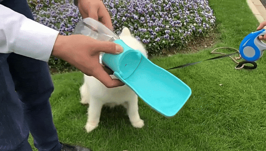 PetGem Water Dispenser | The Foldable Portable Water Bottle For Your Pets