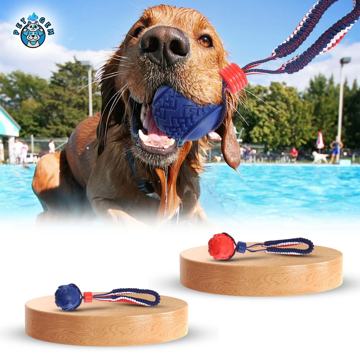 PetGem Chew Toy | Interactive Rope & Ball Dog Chew Toy For Play & Teeth Cleaning